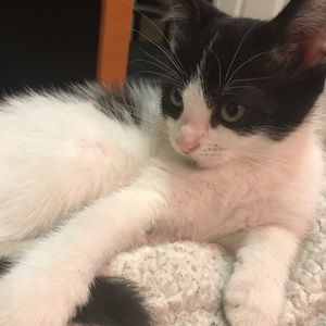 Meet your Posher, Kenzie